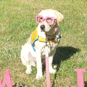 Team Janie 